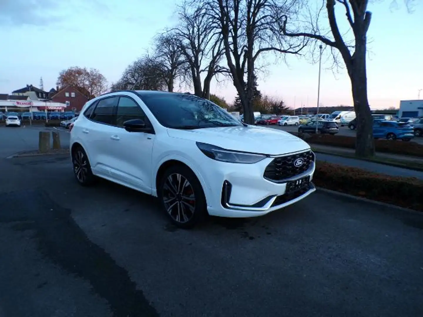 Ford Kuga ST Line X FHEV AHK -Panoramadach -20-Zoll -Technol Weiß - 2