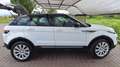 Land Rover Range Rover Evoque Range Rover Evoque I 2016 5p 2.0 td4 Pure 150cv Bianco - thumbnail 6