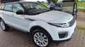 Land Rover Range Rover Evoque Range Rover Evoque I 2016 5p 2.0 td4 Pure 150cv Bianco - thumbnail 1