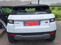 Land Rover Range Rover Evoque Range Rover Evoque I 2016 5p 2.0 td4 Pure 150cv Bianco - thumbnail 4