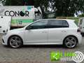 Volkswagen Golf R 2.0 TSI 270cv 4motion Bianco - thumbnail 9