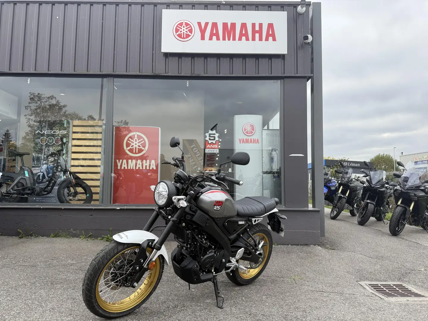 Yamaha XSR 125 Gris - 2