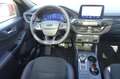 Ford Kuga 2.5 Duratec FHEV ST-Line X / Schiebdach Rot - thumbnail 12
