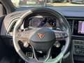 CUPRA Ateca 2.0 TSI LED 360Kamera Memory Navi Panorama Noir - thumbnail 15