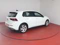 Volkswagen Golf GTE 1.4TSI DSG 285,-ohne Anzahlung ACC Navi Weiß - thumbnail 20