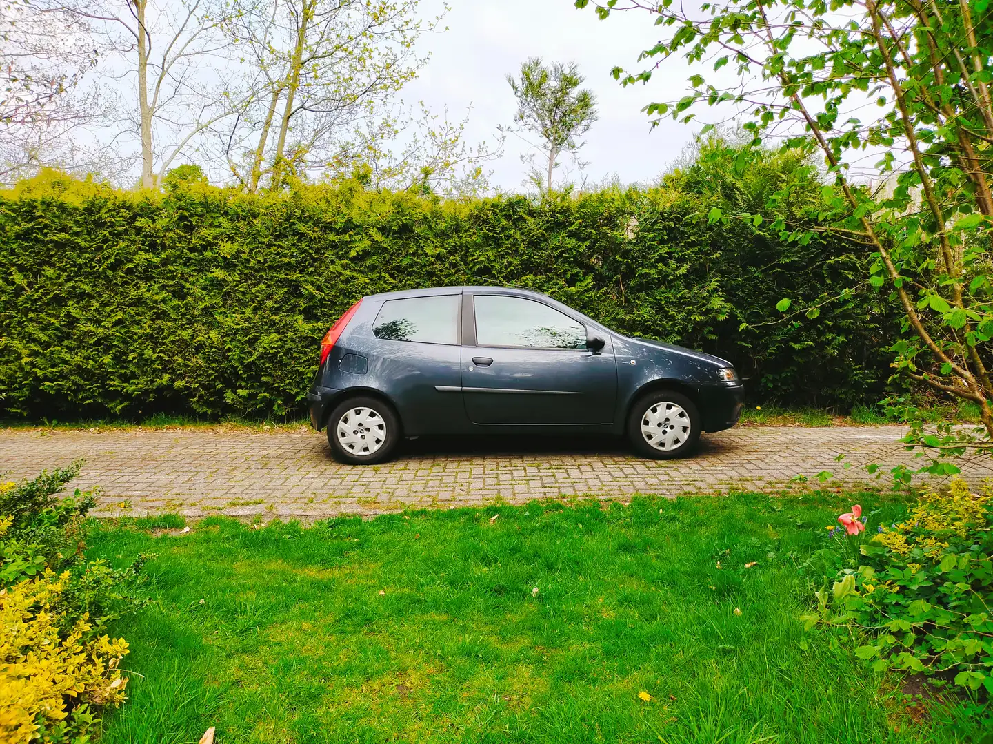 Fiat Punto Punto 1.2 APK 27/02/26 🤩 Gri - 1
