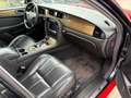 Jaguar XJ8 XJ8 3.5 Executive Rot - thumbnail 9