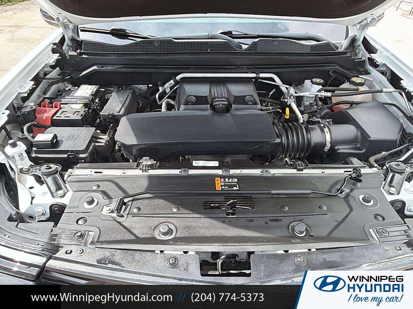 used 2023 Chevrolet Colorado car