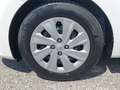 Kia Rio 1,25 MPI Neon ISG *Neon-Paket* Weiß - thumbnail 14