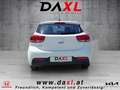 Kia Rio 1,25 MPI Neon ISG *Neon-Paket* Weiß - thumbnail 5