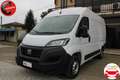 Fiat Ducato 2.2 Mjt 120CV Furgone H2L2 RETROCAMERA Weiß - thumbnail 3