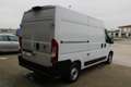 Fiat Ducato 2.2 Mjt 120CV Furgone H2L2 RETROCAMERA Weiß - thumbnail 5