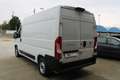 Fiat Ducato 2.2 Mjt 120CV Furgone H2L2 RETROCAMERA Weiß - thumbnail 4