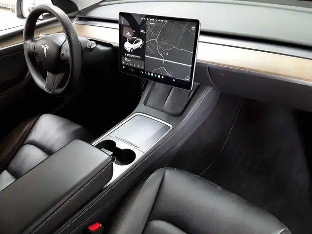 Tesla Model Y view 9