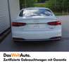 Audi A5 45 TDI quattro advanced Weiß - thumbnail 17