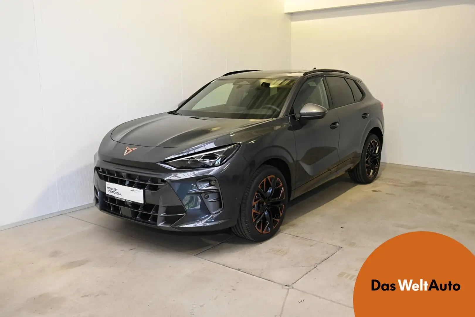 CUPRA Terramar 2.0 TSI 204 PS DSG 4Drive Gris - 1