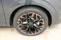 CUPRA Terramar 2.0 TSI 204 PS DSG 4Drive Grau - thumbnail 26