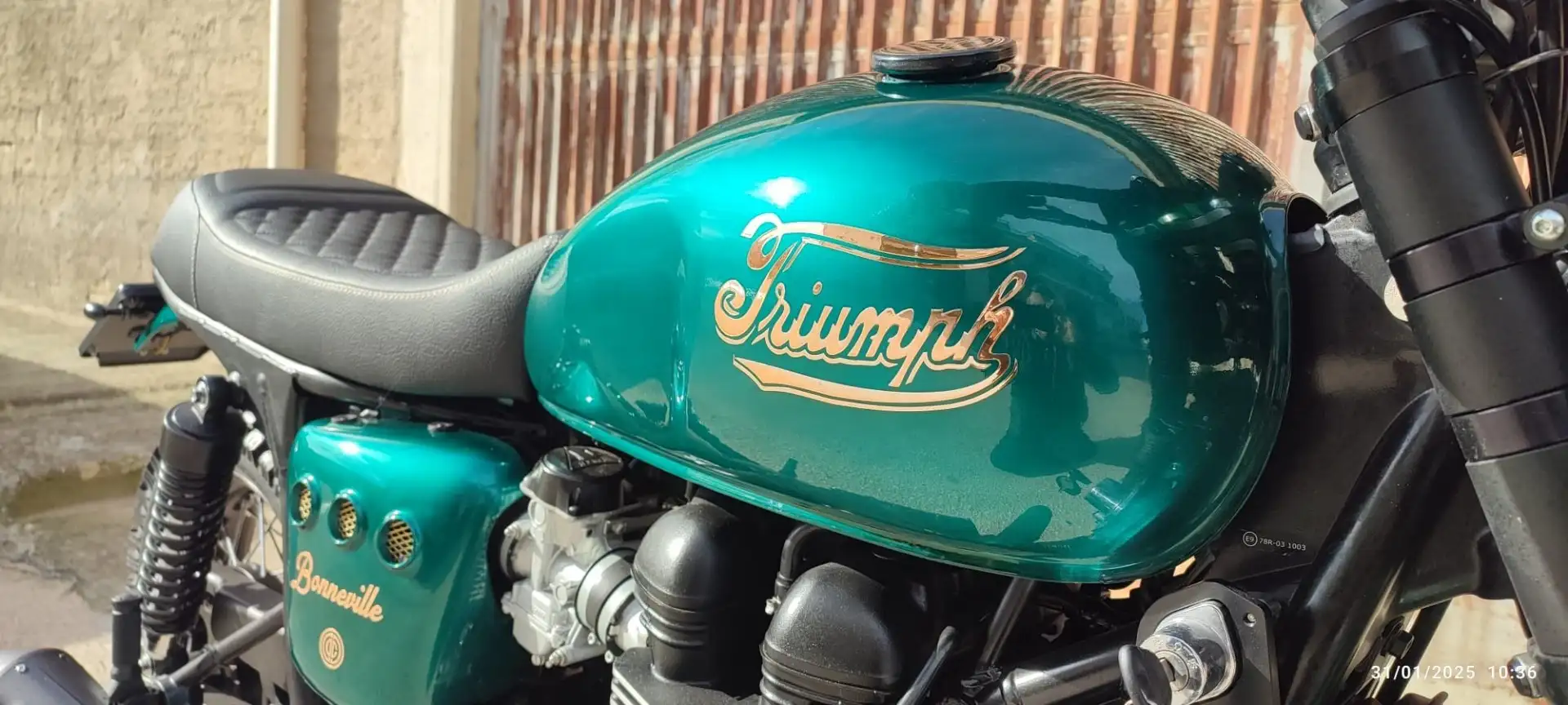 Triumph Bonneville T100 Vert - 1