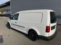 Volkswagen Caddy Maxi Kastenwagen BlueMotion 2,0 TDI ID:134 Weiß - thumbnail 5