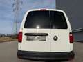 Volkswagen Caddy Maxi Kastenwagen BlueMotion 2,0 TDI ID:134 Weiß - thumbnail 6