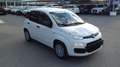 Fiat Panda Panda 1.0 S&S Hybrid Van 2 posti Wit - thumbnail 1