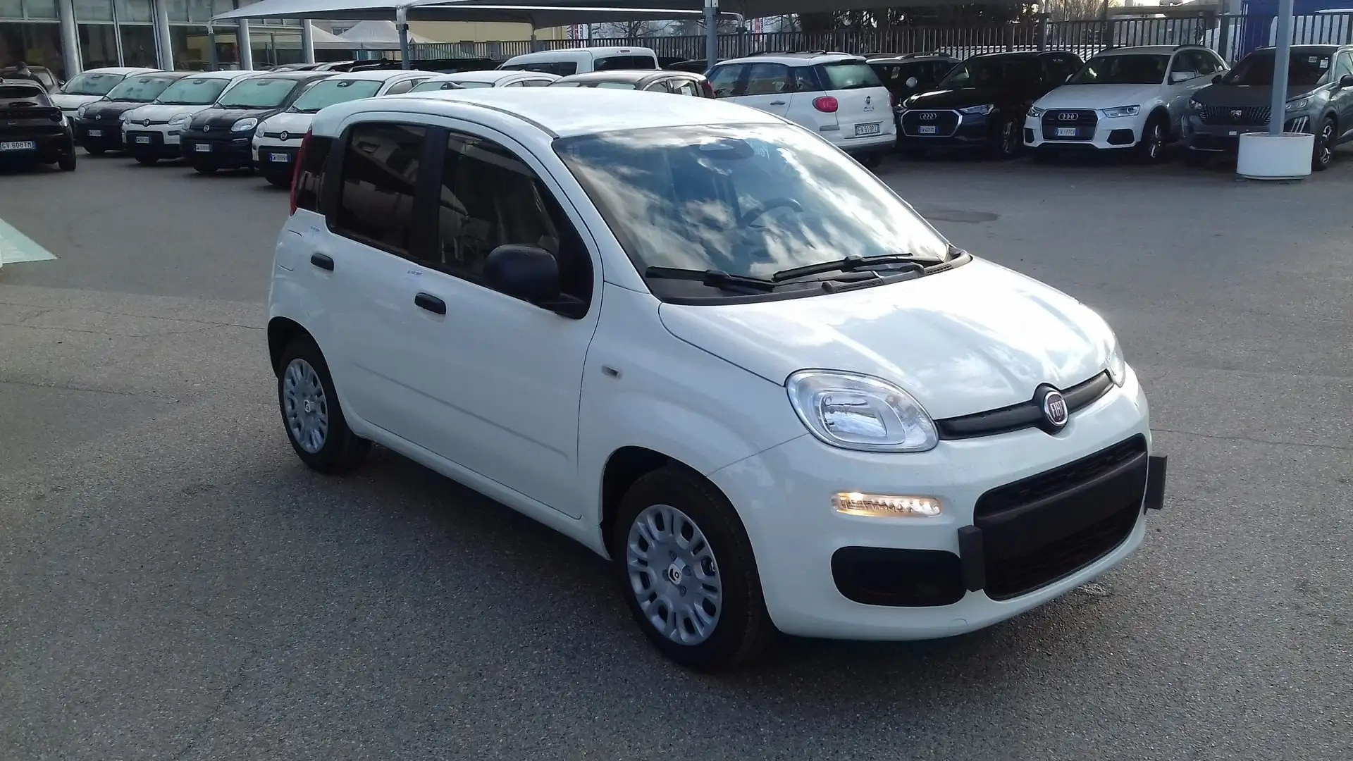 Fiat Panda Panda 1.0 S&S Hybrid Van 2 posti Wit - 1