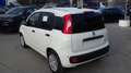 Fiat Panda Panda 1.0 S&S Hybrid Van 2 posti Wit - thumbnail 2