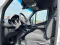 Mercedes-Benz Sprinter 317 37/35 Furgone PRO Blanco - thumbnail 8