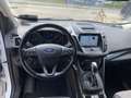 Ford Kuga Titanium Wit - thumbnail 9