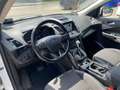 Ford Kuga Titanium Wit - thumbnail 8