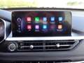 DR Automobiles DR6.0 dr 6.0 1.5 Turbo CVT Bi-Fuel GPL Weiß - thumbnail 16
