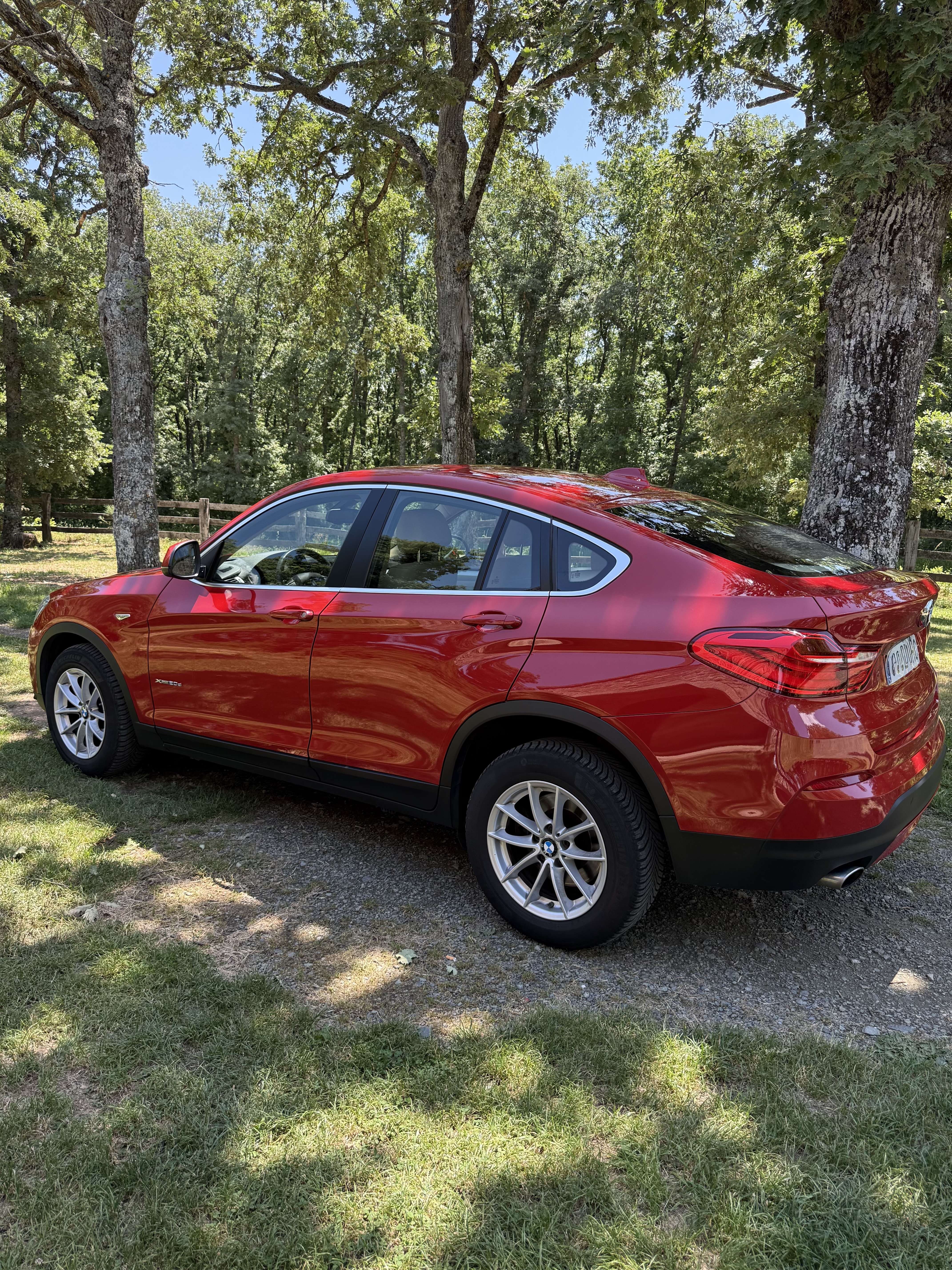 BMW X4 BMW X4 190 Cv - foto 1