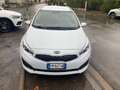 Kia Ceed SW / cee'd SW 1.6 disel euro6B automatico Biały - thumbnail 5