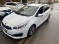 Kia Ceed SW / cee'd SW 1.6 disel euro6B automatico Biały - thumbnail 6