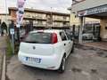 Fiat Punto 1.3 disel Bianco - thumbnail 3