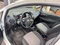 Fiat Punto 1.3 disel Bianco - thumbnail 5