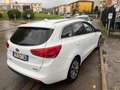 Kia Ceed SW / cee'd SW 1.6 disel euro6B automatico Biały - thumbnail 3