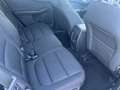 Ford Kuga Kuga 1.5 ecoblue ST-Line 2wd 120cv auto,Km Certif Gris - thumbnail 14