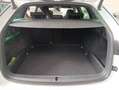 Skoda Octavia Octavia 2.0 TDI EVO SCR 200 CV DSG 4x4 Wagon RS Bianco - thumbnail 8