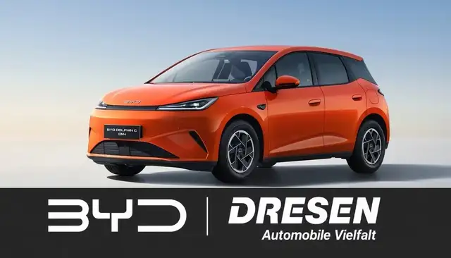 BYD Sonstige