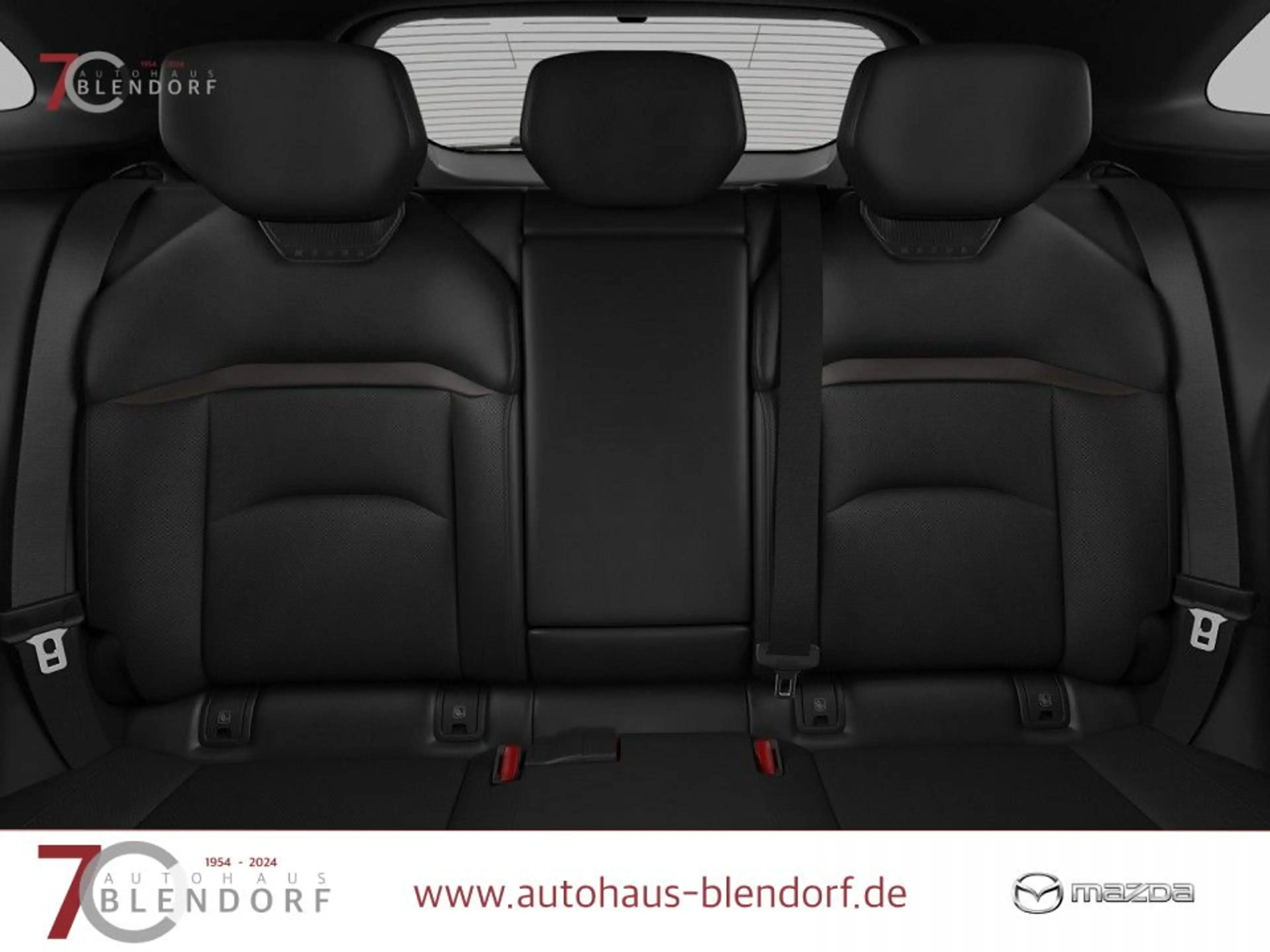 Mazda CX-6e TAKUMI 258 EV 21"|360°|Wärmepumpe — photo 8
