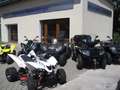 CF Moto EV 110 ***Elektro-Kinderquad der Superlative!*** Alb - thumbnail 11