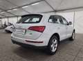 Audi Q5 Q5 2.0 tdi Advanced Plus quattro 190cv s-tronic Bianco - thumbnail 6