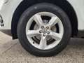 Audi Q5 Q5 2.0 tdi Advanced Plus quattro 190cv s-tronic Bianco - thumbnail 15