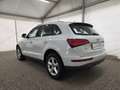 Audi Q5 Q5 2.0 tdi Advanced Plus quattro 190cv s-tronic Bianco - thumbnail 4