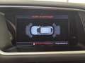 Audi Q5 Q5 2.0 tdi Advanced Plus quattro 190cv s-tronic Bianco - thumbnail 14