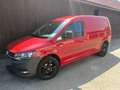 Volkswagen Caddy Caddy Kombi Maxi Highline 1,6 TDI DPF Highline Rot - thumbnail 1