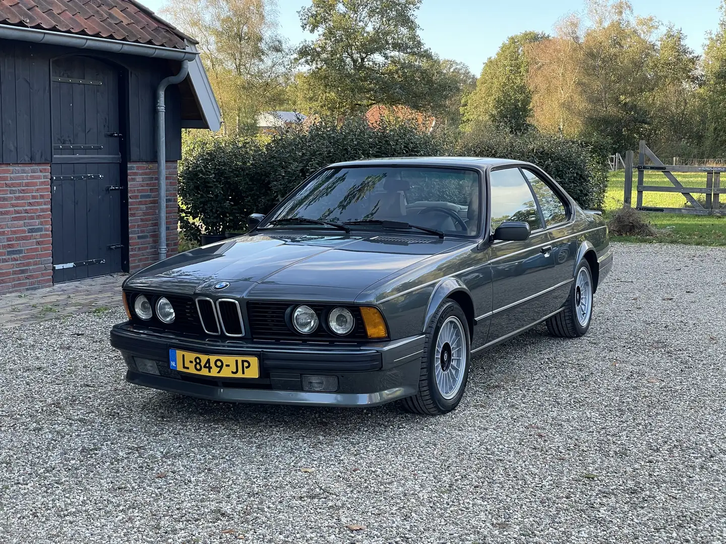 BMW 635 M CSi Grijs - 1