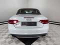 Audi S5 3.0 TFSI Stronic quattro Cabriolet°Navi°ACC Weiß - thumbnail 5