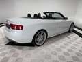 Audi S5 3.0 TFSI Stronic quattro Cabriolet°Navi°ACC Weiß - thumbnail 14